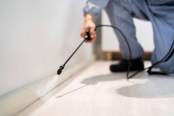 Licensed Pest Control service in Tahlequah, OK - Show Me Pest Control