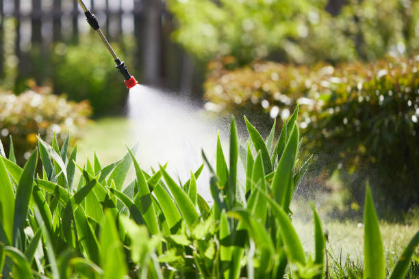 24/7 Emergency Wasp Removal experts in Tahlequah, OK