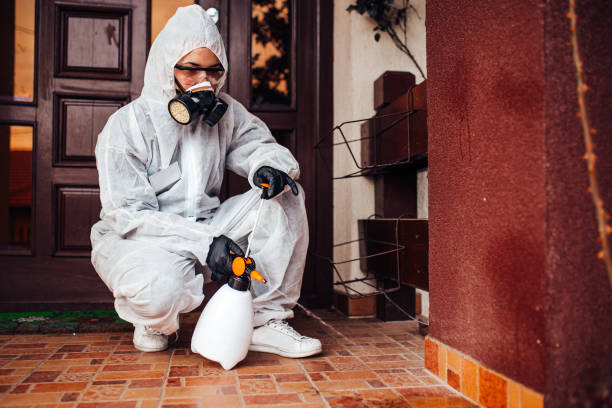 Reliable Wasp Removal contractor in Tahlequah, OK by Show Me Pest Control