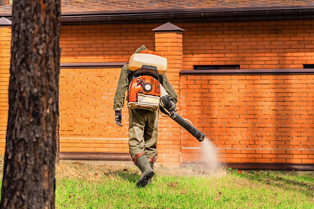 Top rated local Wasp Removal specialists in Tahlequah, OK